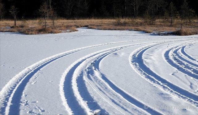 Südufer im Winter-005.jpg